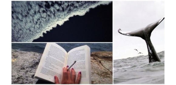 Прямые рейсы из Литвы на Майорку в июле-августе 71€ туда-обратно